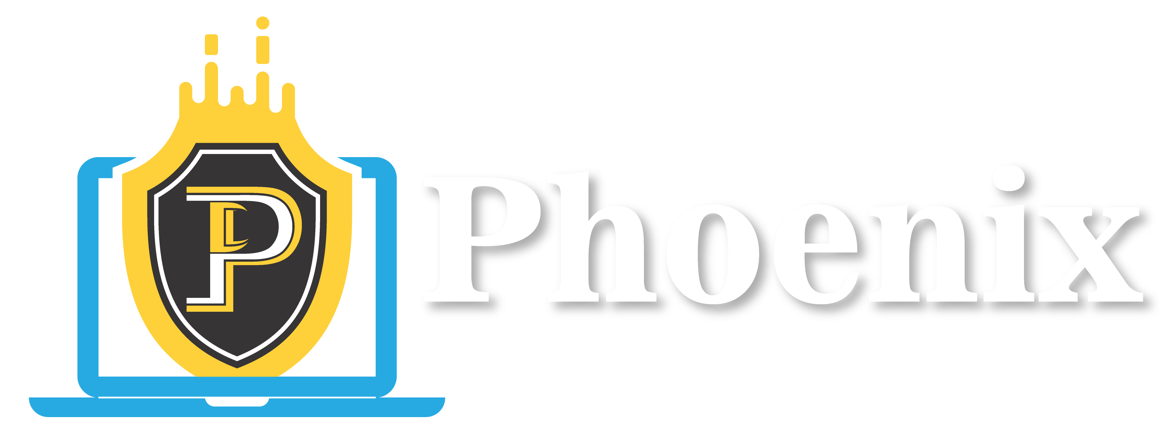 phoenix-cyber-secure-nagpur
